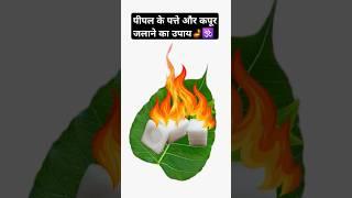 पीपल के पत्ते और कपूर का उपाय ll #shortsfeed #upay #mahadev #youtubeshorts #trendingshorts #shorts