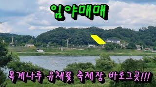 #임광부동산 1106번 엄정면 임야 1억(협의)