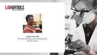 Reporter Cell Line Development and Optimization for High Throughput Screening
