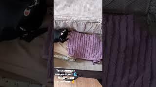 долгожданный отпуск 