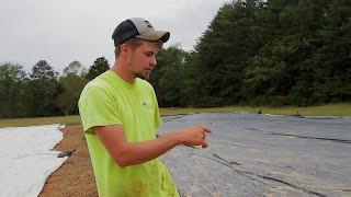 Silage Tarps for Germination and Bermuda Grass | Honey Tree Farm