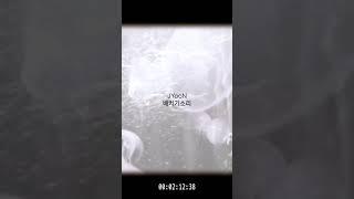 정지윤 - 배치기소리 (청류x경기문화재단)