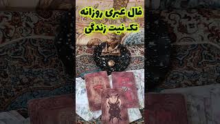 فال تاروت قهوه آسمان فال تک نیت روزانه زندگی احساس و برگشت معشوق آموزش فال رایگان #tarot #فال