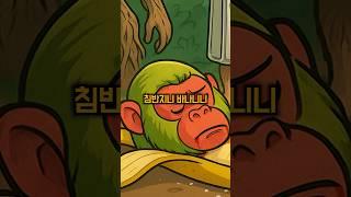 침반지니 바나니니를 죽인 범인은 누구?