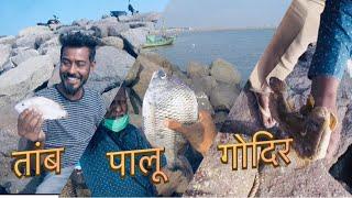 बेट आणि रॉड फ़िशिंगला भेटला पालू तांब आणि गोदिर मासा | Best place for rod fishing near Mumbai