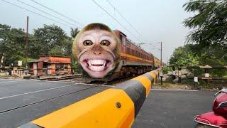 Dangerous Monkey Headed Balurghat Express Furious Moving Throughout Railgate