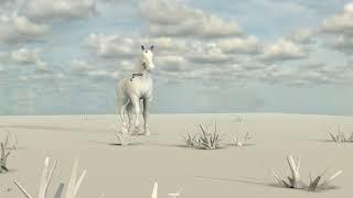 Callum Highfield | 3D Animation Horse Walk (DRAFT 2) - Walk Cycle (DRAFT 2) - Run Cycle (DRAFT 2)