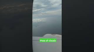 #cloudslovers #seaofclouds #clouds #cloudsview #ontheair @everyone @highlight @followers