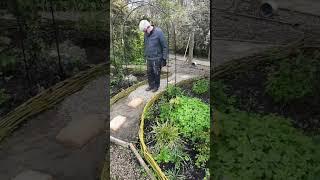 Creating a Lazy Line Garden Path with Stepping Stones & Gravel  #garden #ireland #gardenvisit