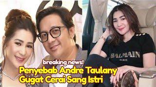 KAGET! Penyebab Andre Taulany Gugat Cerai Sang Istri, Kapok Rien Trigina Berulah Rekan Artis Dukung