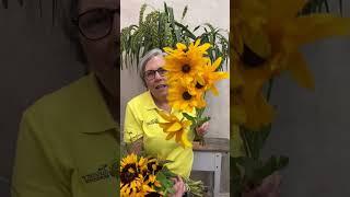 A Rudbeckia comparison, all champs in my book