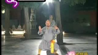 少林柔拳 Shaolin Rou Quan yi lu - Soft Fist Boxing First Road