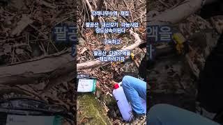 자연인#내산갖기 #양도상속이된다 #내땅#임야 #산양삼 #텃밭 #자연치유 #