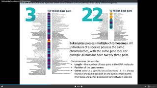 IB Biology: 3.1 Genes