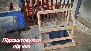 Хаос в курнику, Купили кукурудзи, Саджанці вже приїхали!