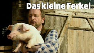 Dieter Hallervorden  - Das kleine Ferkel