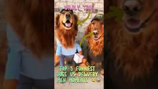 Top 5 FUNNIEST Dogs vs Delivery Men Moments  | Wildly True #shorts #dog #funny  #entertainment