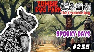 French Bulldog daily walking CASH ARCHIVALDO spooky days Halloween zombies monsters #255