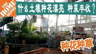 Home Depot商品｜什么土壤种花漂亮、种菜丰收？花园土和盆栽土是一样的吗？可别买错了！