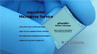 MicroRNA Microarray Service