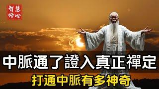 南懷瑾：中脈通了才能證入初禪的真正禪定 打通中脈有多神奇？#智慧修心 #修行 #福報 #禪修  #養生 #健康 #zen