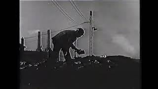 Steam locomotive 1947 film save coal Black Diamonds