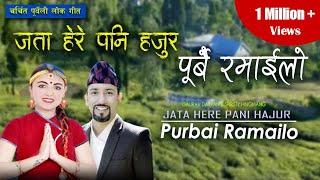 Jata here pani hajur Purbai Ramailo जता हेरे पनि हजुर पुर्बै रमाइलो/ Shristy Hingmang| Gaurav Darpan