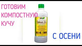 Готовим компостную кучу с осени с применением препарата Байкал ЭМ 1