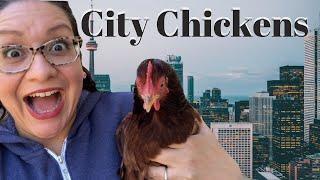 Urban Chicken Keeping | Keeping Backyard Chickens in the City