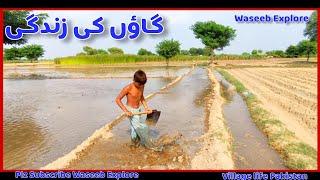 Village life Pakistan | Daily Routine Work in Village | Waseeb Explore