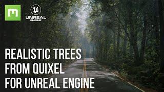 How to Use Megascans Trees in Unreal Engine 5 Tutorial