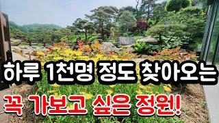 하루 1천명이 찾아오는 꼭 가보고 싶은 정원 #여행 #카페 #정원가꾸기