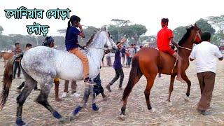 টান টান উত্তেজনায় ঘোড়া দৌড় প্রতিযোগিতা - Amazing Horse Race in Bangladesh - Horse Riding Soniya.