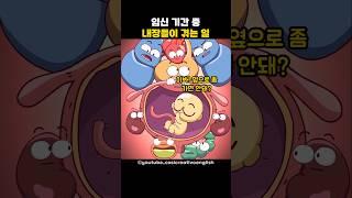 임신 기간 중 내장들이 겪는 일