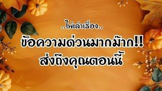 ไพ่เล่าเรื่องข้อความด่วนมากม๊าก!!!ส่งถึงคุณตอนนี้️️️️#ไพ่Tarot#ไพ่ยิปซี🀄