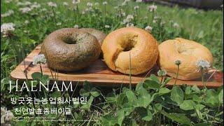'해남천연발효종쌀베이글' 가장 완벽한 쌀 베이글