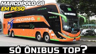 OS ÔNIBUS MAIS BONITOS DO BRASIL PASSAM PELA RODOVIÁRIA DA BARRA FUNDA EM SÃO PAULO