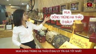 Mua đông trùng hạ thảo ở đâu uy tín tại Hà Nội hay HCM - 1kg tiền tỷ | Onplaza