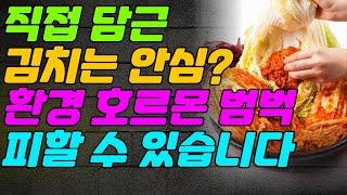 직접 담근 김치는 안심? 환경호르몬 범벅 피할 수 있습니다!