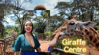 I went to Giraffe Center in Nairobi, Kenya and all Ima say is WOW!