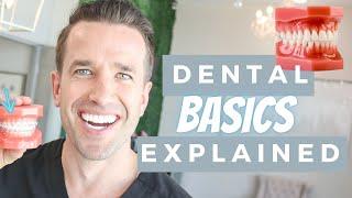 Dental Basics 101 | Tooth Numbers | Tooth Surfaces