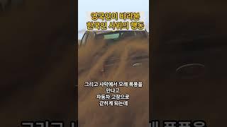 [해외감동사연] 영국 명문 귀족이 바라본 한국인 사위의 특별한 행동