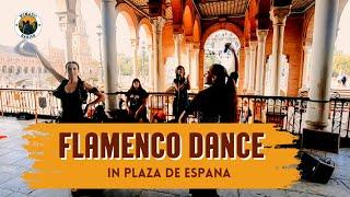 Flamenco Dance | Baile Dance | Plaza De Espana | Travel in Spain | Seville