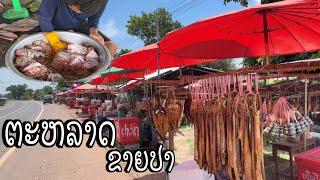 ຕະຫລາດຂາຍປາສົດ-ແຫ້ງແຄມທາງ13ໃຕ້/ตลาดขายปลาสด-แห้งริมทาง13/Mekong fish market on road no.13