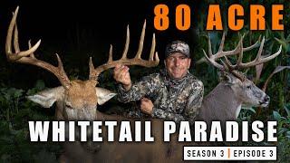S3E3 80 Acre Whitetail Paradise