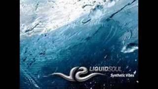 Liquid Soul  Crazy People