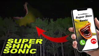 If you see SUPER SHIN SONIC in the forest - RUN