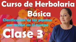 Curso de Herbolaria en línea clase 3   Clasificación de las plantas por acción en el cuerpo