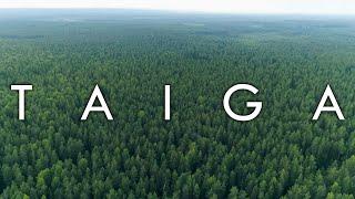 The Taiga Biome (Boreal Forest) - Biomes #7