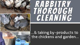 Is farm life good? How to do rabbit farming at home